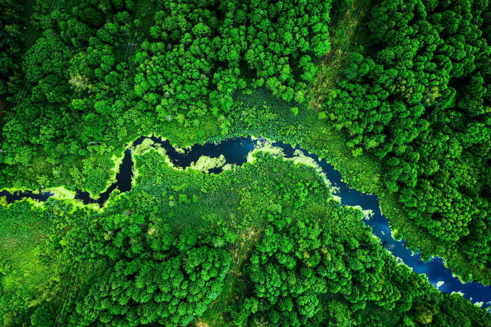 Environmental Consulting